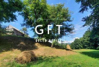 Teren intravila/extravilan, Rebrisoara - 5