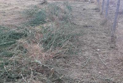 Teren de 500 mp, în Agigea - 5