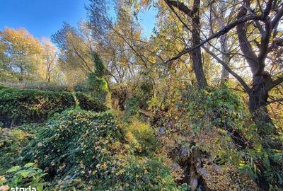 Spațiu comercial, în Domnești - 5