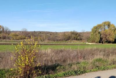 Teren de 1000 mp, în Șimnicu de Sus - 1