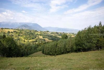 Teren de 10131 mp, în Sohodol - 7