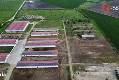 Spațiu comercial, în Sânmartinu Sârbesc - 6