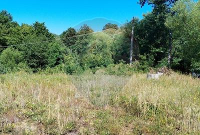 Teren Construcții intravilan de 3871 mp, în Vărmaga - 9