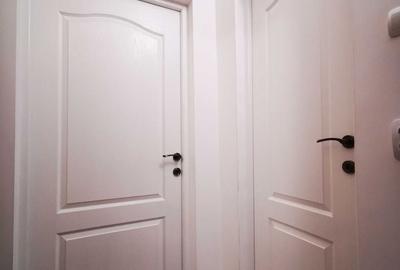 Garsonieră decomandată, mobilată în Costin Georgian - 8