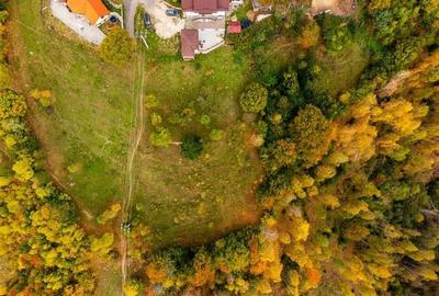 Film! Teren in peisaj mirific, Parcul Natural Piatra Craiului, Moieciu, Magura, - 12