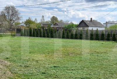 Casa mobilata- utilata, 300 mp, zona Zvoristea - 2