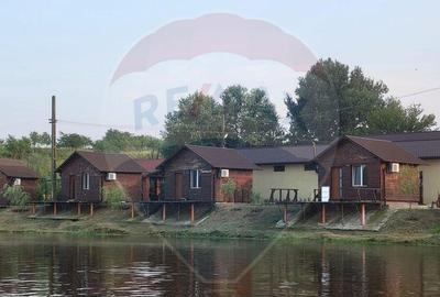 Ferma Piscicola ?i teren de 339ha Gruia / Drumul 56C - 2