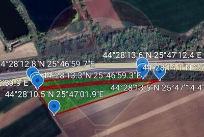 Teren Construcții intravilan de 11842 mp, în Bolintin-Deal - 11