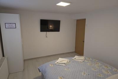 Pensiune la Cheia, moderna, functionala in totalitate, vedere mirifica (chirie) - 12