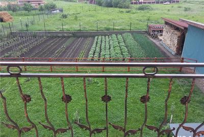 Vand casa in Unirea - 7