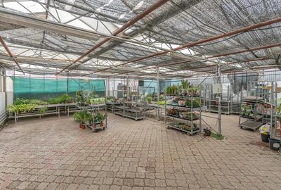 CASA BARTOLOMEU- sediu firma/ comercial/ servicii- zona circulata - 9