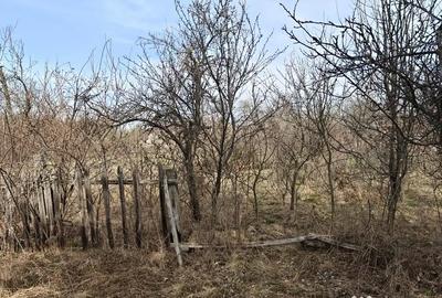 Teren de 1472 mp, în Lintești - 8