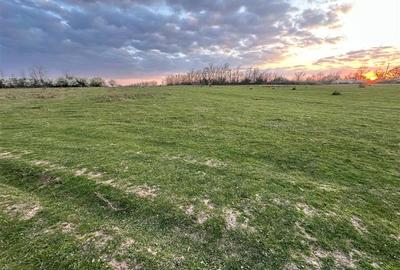 Teren Construcții intravilan de 10000 mp, în Sud - 8