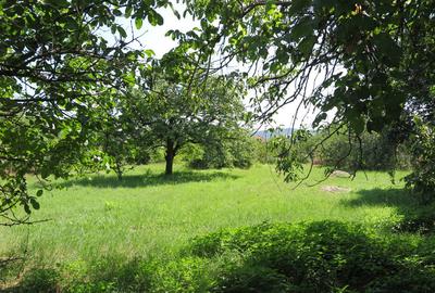 Teren de 17777 mp, în Central - 8