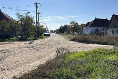 Teren de 22000 mp, în Livada - 3