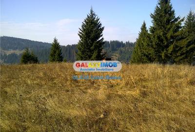 Teren intravilan de 12730 mp, în Central - 1