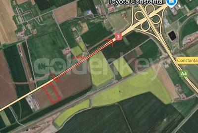 Teren 10.000 mp Constanta - Valu Traian - 3