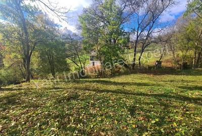 Teren de vanzare in comuna Arefu, jude? Arge?. - 8