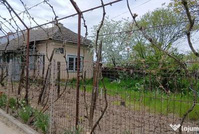 Casă cu 5 camere cu Teren 8481 Mp în Soreni - 4