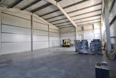 Hala industriala, platforma betonata, 300 mp - 9