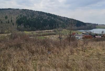 Teren în Moacșa - 5