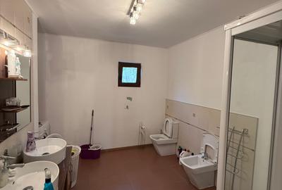 Mihailesti l Casa de vanzare P+M 2011  l 190 Mp Utili l 1000 Mp Teren l - 7