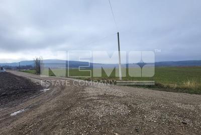 TEREN I ADANCATA I 36 Ari I LOC DE CASA I 37000 Euro I COMISION O% ! ! - 3