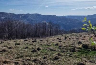 Teren de 30209 mp, în Groșuri