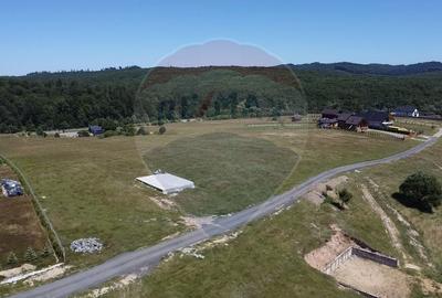 Teren agricol extravilan de 3757 mp, în Păltinoasa - 4