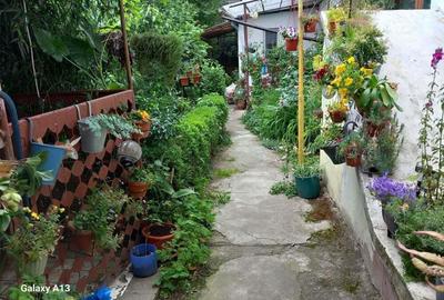 Brasadas.com vinde casa 3 cam 135mp zona ULTRACENTRALA. - 1