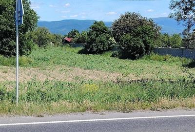 Teren de 3400 mp, în Jupa