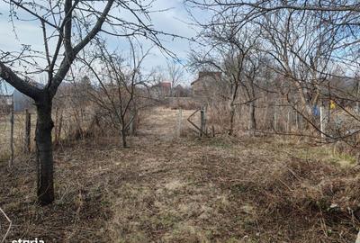 Casă cu 2 camere în Cornu - 4