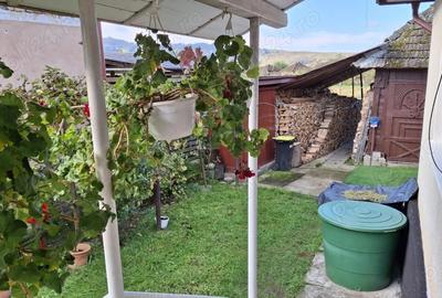 Casa la tara,2 camere,baie bucatarie,anexe. - 10