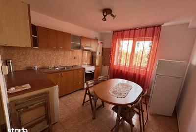 Apartament cu 3 camere în Cetate - 17