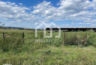 Spațiu comercial, în Jucu - 7