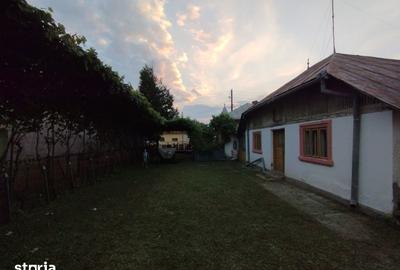 Casă cu 4 camere cu Teren 1400 Mp în Sud - 7