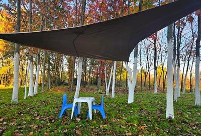 Gradina urbana pentru recreere - Baneasa - 3