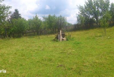 Teren de 1600 mp, în Șugag - 4