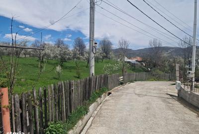 Spațiu comercial, în Ghioșești - 12