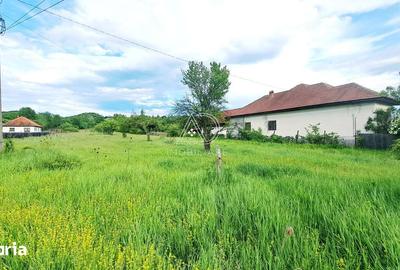 Teren de 7443 mp, în Săcelu - 5