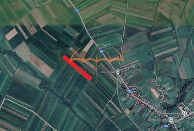 Teren extravilan Hideaga