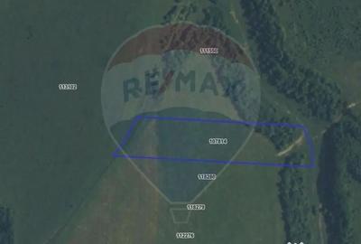 Teren de 10800 mp, în Râșnov - 13