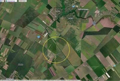 Teren de 18700 mp, în Afumați