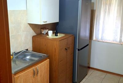Apartament cu 3 camere decomandat în Prundu - 13
