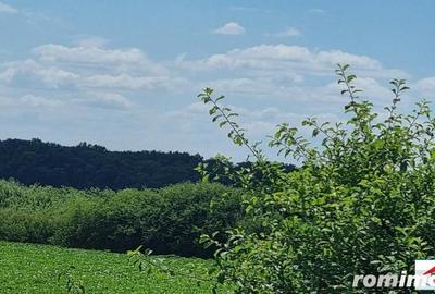 Teren în Dorolț - 3