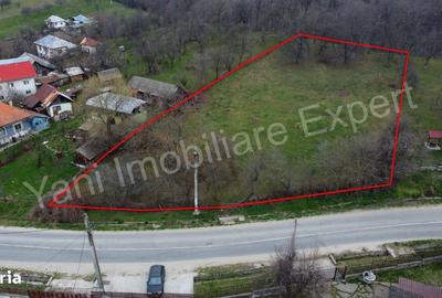 Teren de 2674 mp, în Cepari - 10