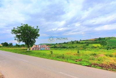 Teren intravilan 717 mp – Sura Mare, Sibiu - 3