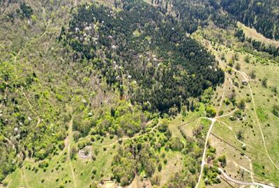 Teren Construcții intravilan de 5500 mp, în Cristian - 19