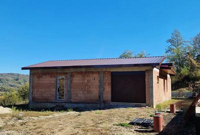 Casa in Vladesti - 5