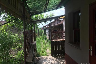 Casă cu 3 camere cu Teren 2538 Mp în Salonta - 5
